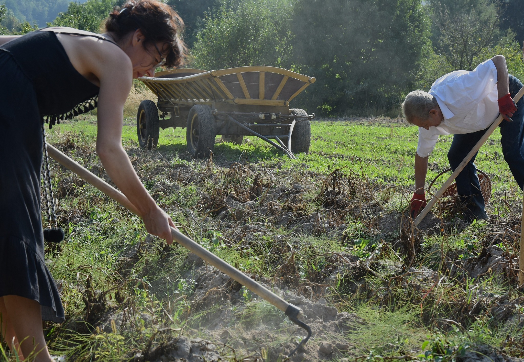 Kultura, Tradycja i... Placki 2025